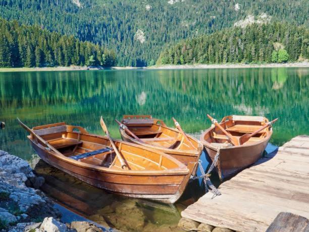 Lux Villas Zabljak エクステリア 写真