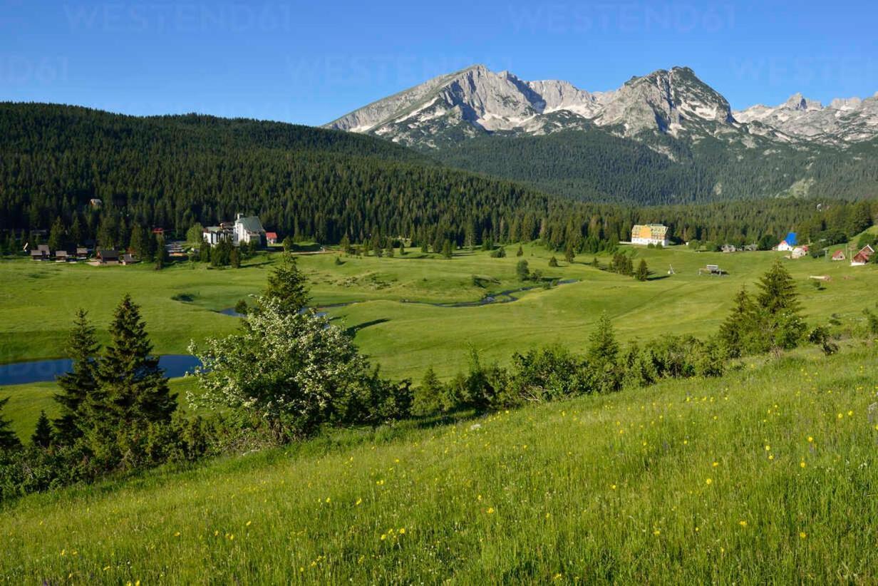 Lux Villas Zabljak エクステリア 写真